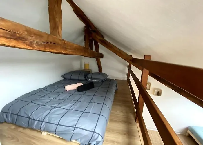 Le Cocon - Appartement En Hyper Centre