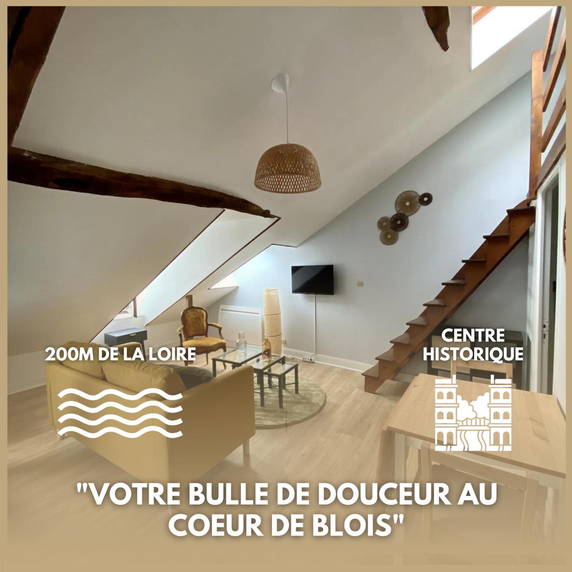 Le Cocon - En Hyper Centre *
